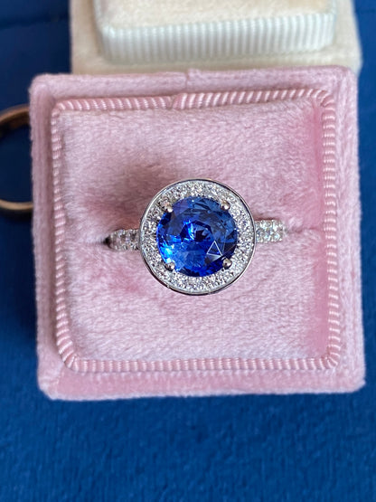 3.65 CTW Blue Ceylon Sapphire and Natural Diamond Double Halo Ring in Platinum