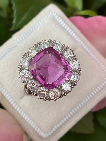 5.51 Carat Cushion Cut Pink Sapphire and 2.10ctw Diamond Halo Ring in Platinum