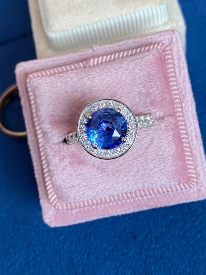 3.65 CTW Blue Ceylon Sapphire and Natural Diamond Double Halo Ring in Platinum