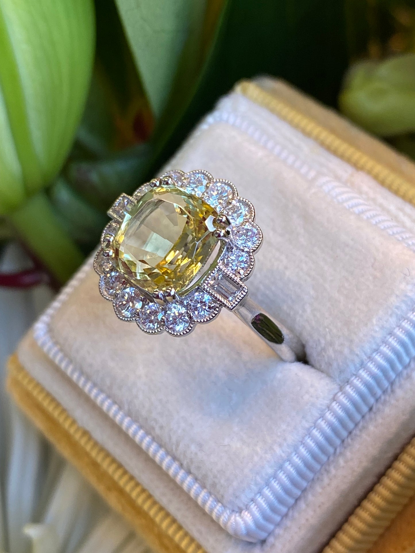 4.13 CTW Cushion Cut Yellow Aquamarine and Natural Diamond Halo Engagement Ring in Platinum