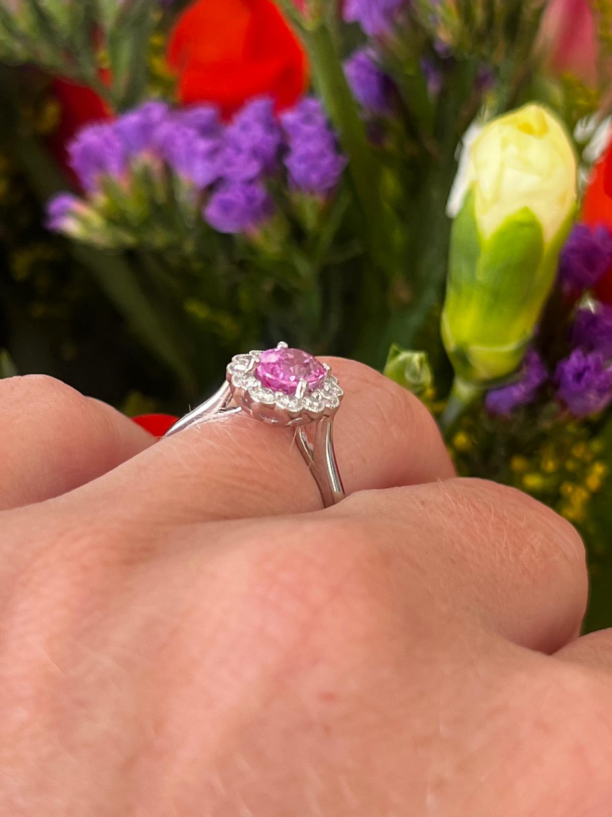 1.94 CTW Oval Cut Pink Sapphire and Natural Diamond Halo Engagement Ring in Platinum