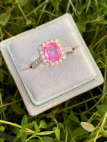 2.04 CTW Cushion Cut Pink Sapphire and Natural Diamond Halo Ring in Platinum