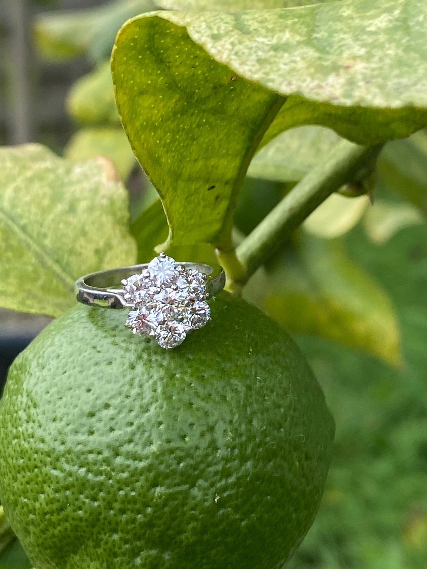 Heritage 1.50 CTW + Brilliant Cut Lab Grown Diamond Daisy Engagement Ring, at Least F Colour / VVS Clarity