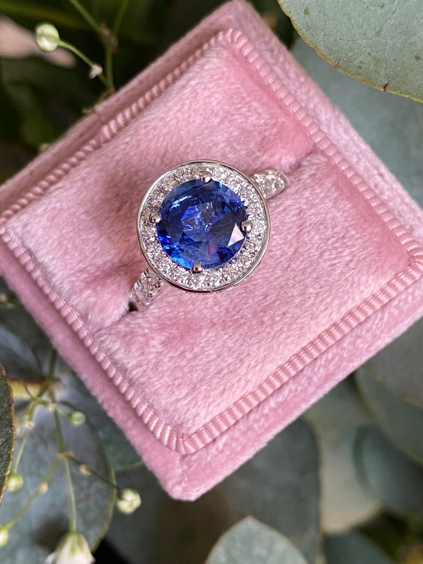 3.65 CTW Blue Ceylon Sapphire and Natural Diamond Double Halo Ring in Platinum