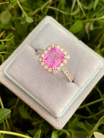 2.04 CTW Cushion Cut Pink Sapphire and Natural Diamond Halo Ring in Platinum