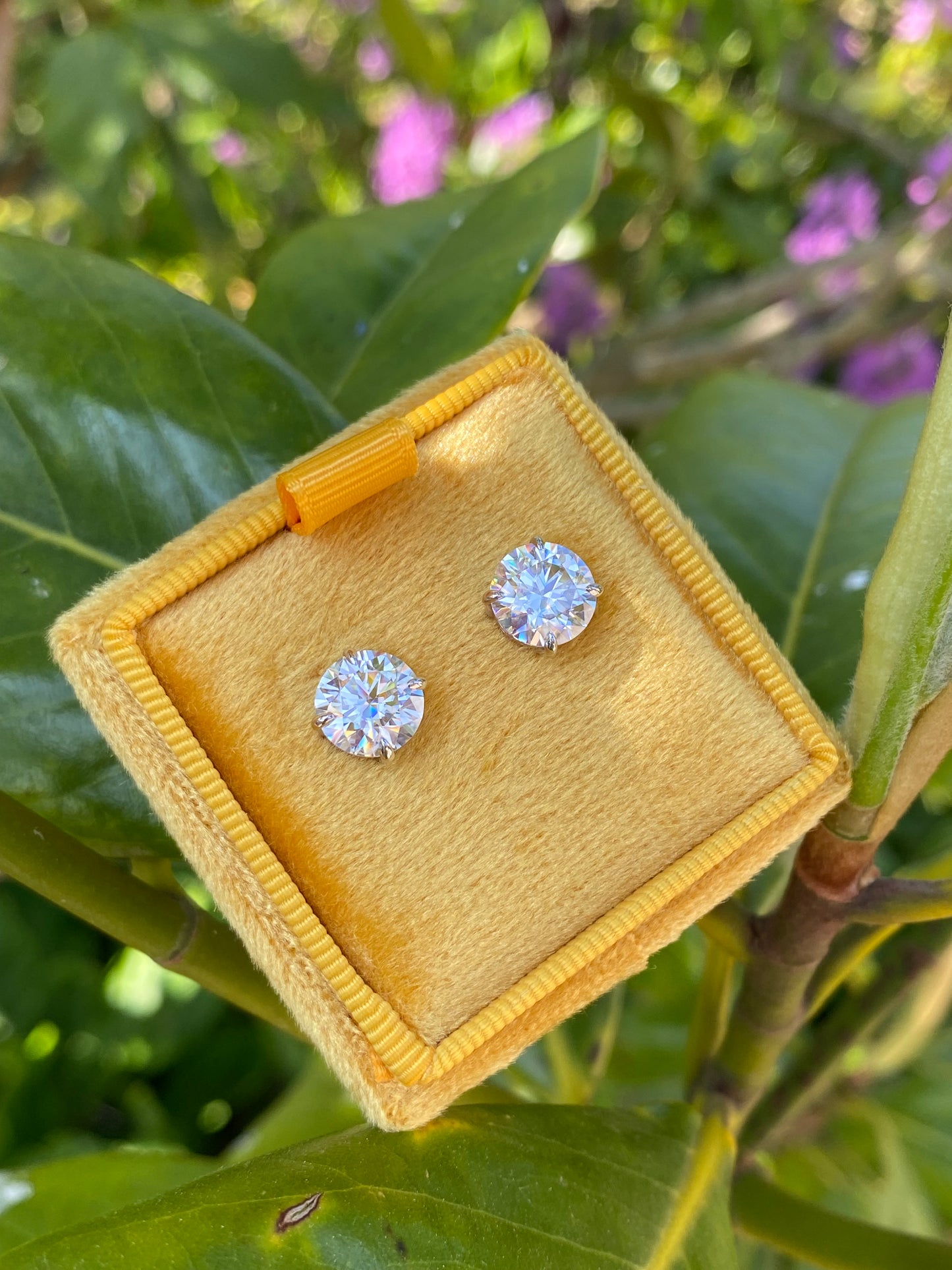 4.31 CTW Moissanite Stud Earrings